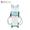 Multi-functional Cryolipolysis Vacuum Therapy for Weight Loss