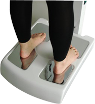 Body Fat Composition Analysis Equipment with Printer