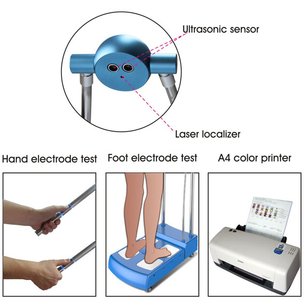 Body Composition Analyzer with 3 Frequencies