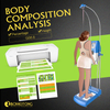 Comercial Body Fat Analyzer Composite Machine